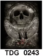 TDG 0243 HOT ROCK t-shirt (черепа)