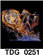 TDG 0251 HOT ROCK t-shirt (черепа)