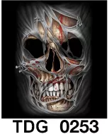 TDG 0253 HOT ROCK t-shirt (черепа)