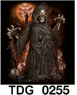 TDG 0255 HOT ROCK t-shirt (черепа)