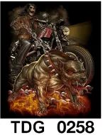 TDG 0258 HOT ROCK t-shirt (черепа)