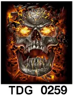TDG 0259 HOT ROCK t-shirt (черепа)