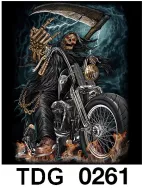 TDG 0261 HOT ROCK t-shirt (черепа)