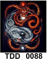 TDD 0088 HOT ROCK t-shirt (дракон)