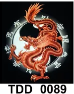 TDD 0089 HOT ROCK t-shirt (дракон)