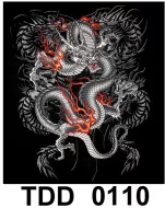 TDD 0110 HOT ROCK t-shirt (дракон)