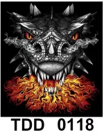 TDD 0118 HOT ROCK t-shirt (дракон)
