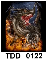 TDD 0122 HOT ROCK t-shirt (дракон)
