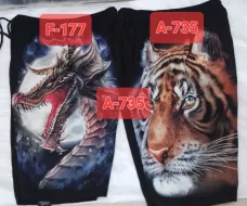F 177 Caballo (shorts) (шорты,дракон,фэнтази)