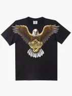 DISCHARGE (D) D-169  (Rock Eagle, T-Shirts)