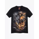 4530 (Original T-shirts,Rock Eagle)