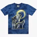 TD 242 (Animals, T-Shirts,Rock Eagle)