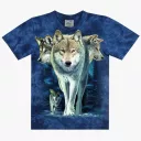 TD 359 (Animals, T-Shirts,Rock Eagle)