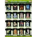 Rock Eagle KIDS t-shirts GK 4310 - 214