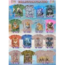 Rock Eagle KIDS t-shirts K 125 - 144