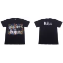 The BEATLES TDM 1338 HOT ROCK LONGSLEEVE
